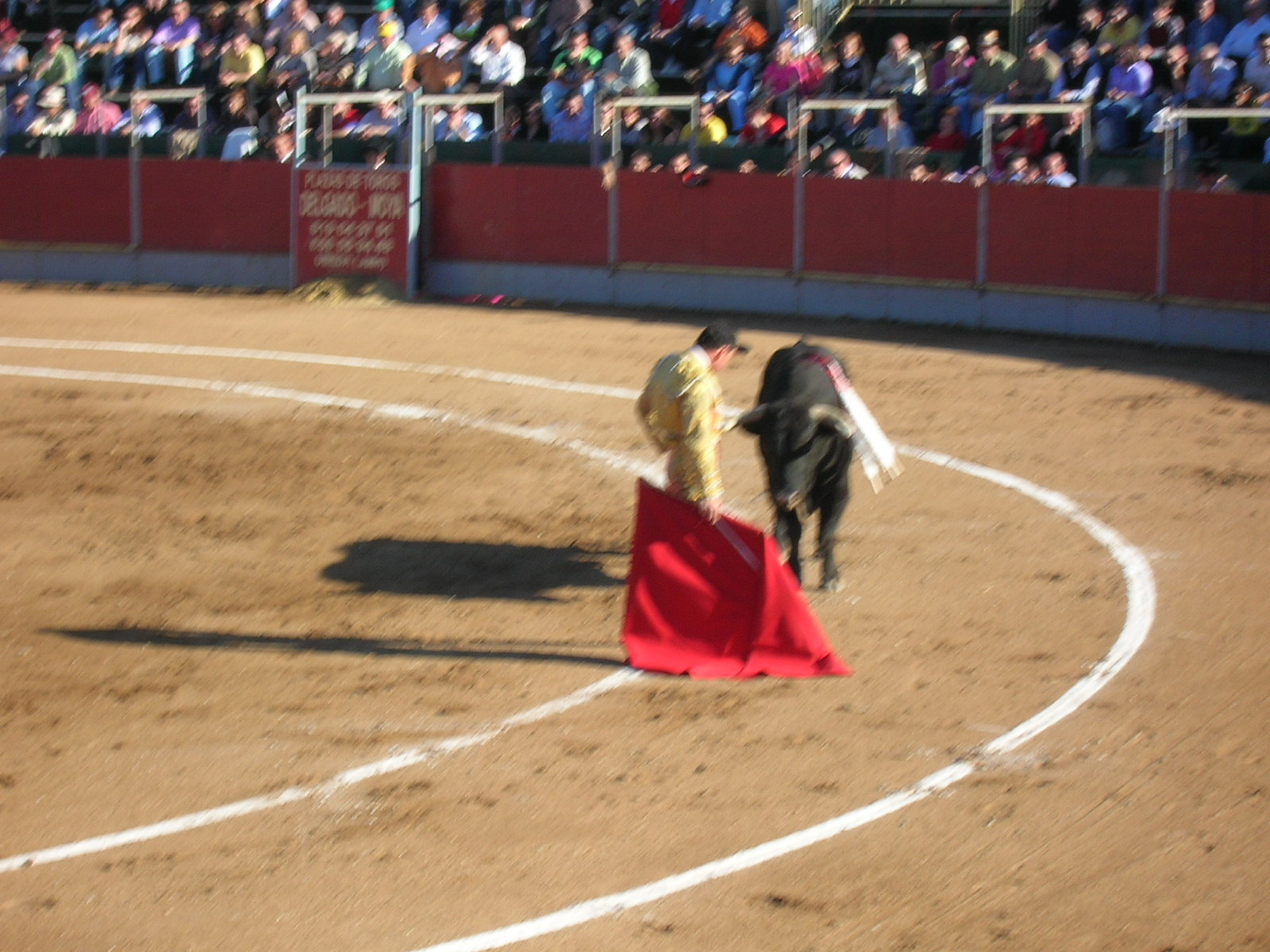 toros en bailen 007